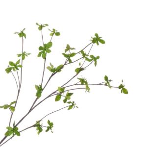 ドウダンツツジ フェイクグリーン 造花 卓上 ...の詳細画像4