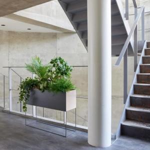 フェイクグリーン 観葉植物 人工観葉植物 アイ...の詳細画像2