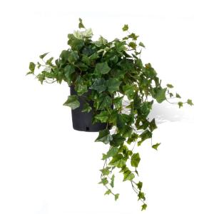 フェイクグリーン 観葉植物 人工観葉植物 アイ...の詳細画像3
