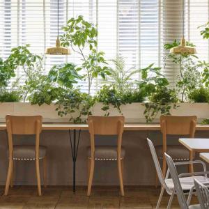 フェイクグリーン 観葉植物 人工観葉植物 フィ...の詳細画像1