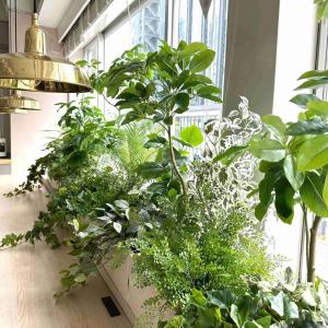 フェイクグリーン 観葉植物 人工観葉植物 フィ...の詳細画像2