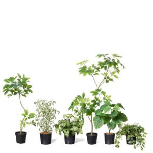 フェイクグリーン 観葉植物 人工観葉植物 フィ...の詳細画像3