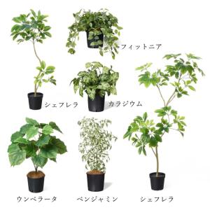 フェイクグリーン 観葉植物 人工観葉植物 フィ...の詳細画像4