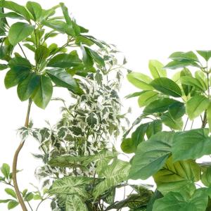 フェイクグリーン 観葉植物 人工観葉植物 フィ...の詳細画像5