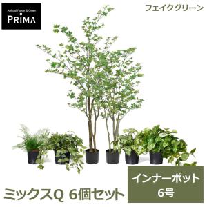 フェイクグリーン 観葉植物 人工観葉植物 ポトス フィットニア カラジウム アジアンタム ドウダンツツジ インナーポット 6個セット 6号 PRGR-1707P6 GREENPARK
