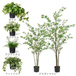 フェイクグリーン 観葉植物 人工観葉植物 ポト...の詳細画像4