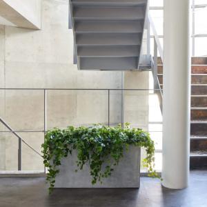 フェイクグリーン 観葉植物 人工観葉植物 大型...の詳細画像1