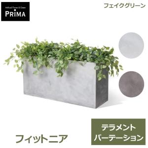 フェイクグリーン 観葉植物 人工観葉植物 大型 フィットニア テラメント W100cm 鉢セット鉢付 水やり不要 造花 インテリアグリーン 植物 PRGR-1433-03 GREENPARK
