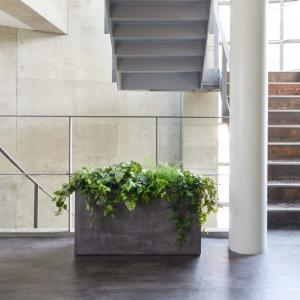 フェイクグリーン 観葉植物 人工観葉植物 大型...の詳細画像3