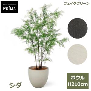 シダ フェイクグリーン 大型 人工観葉植物 造花 インテリアグリーン プランター付き H210cm 観葉植物 水やり不要 おしゃれ シンボルツリー PRGR-1549 GREENPARK