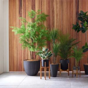 シダ フェイクグリーン 大型 人工観葉植物 造...の詳細画像1
