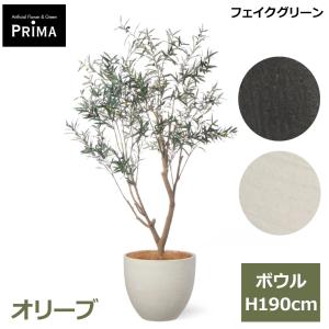 オリーブ フェイクグリーン 大型 人工観葉植物 造花 インテリアグリーン プランター付き H200cm 観葉植物 水やり不要 植物 実付き 軽量 PRGR-1720 GREENPARK お