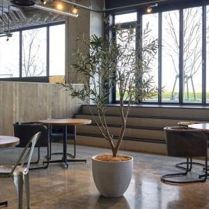 オリーブ フェイクグリーン 大型 人工観葉植物...の詳細画像2