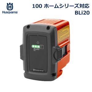 ハスクバーナ バッテリー BLi20 雨天 対応 容量 4Ah Li-ion 初回 セット バッテリー Husqvarna BLi 100 ホームシリーズ 967091701 屋外 チェーンソー｜