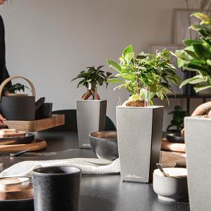 植木鉢 プランター おしゃれ ガーデニング雑貨...の詳細画像3