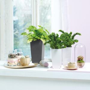 植木鉢 プランター おしゃれ ガーデニング雑貨...の詳細画像4