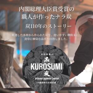 黒炭パウダー 100g 純国産 食用 木炭 混...の詳細画像1