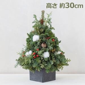 ミントグリーン クリスマスツリー 約30cm必ずプロフ読んでください❣️ クリスマス リース 30cm ドライフルーツ 生リース モミの木 おしゃれ