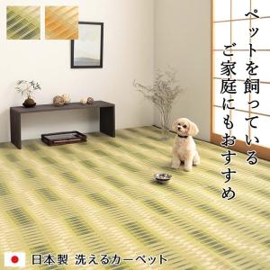 洗える ござ 日本製 国産 カーペット 丈夫 除菌スプレー対応 敷詰 ラグ 敷物 アウトドア レジャー ペット グリーン 江戸間2畳 約174×174cm カ イケヒコ 1090580