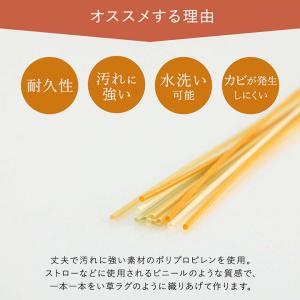 洗える ござ 日本製 国産 カーペット 丈夫 ...の詳細画像2