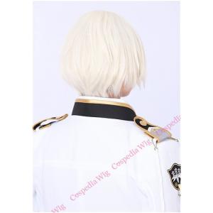 刀剣乱舞 髭切 風 ウィッグ コスプレウィッグ...の詳細画像4