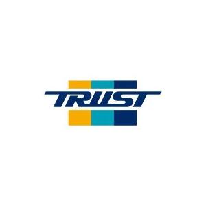 TRUST（トラスト） 【TRUST/トラスト】 GReddy プロフェック (Profec