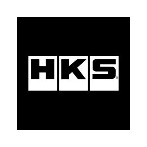 【HKS】 フレキシブルホース L=460mm AN4メス-AN4メス [1408-RA013]