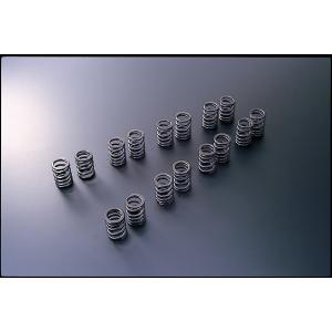 【TOMEI/東名】 バルブスプリング VALVE SPRING 4G63 [163034]