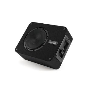 日本正規品 ロックフォード RockfordFosgate PUNCH P2D4-10 4ΩDVC最大