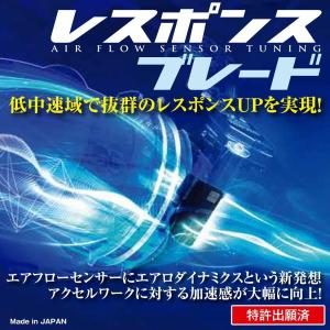 BLITZ/ブリッツ】 ADVANCE POWER AIR CLEANER (アドバンスパワーエア