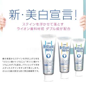 ブリリアントモアW 90g 3本 選べるフレーバーの詳細画像2