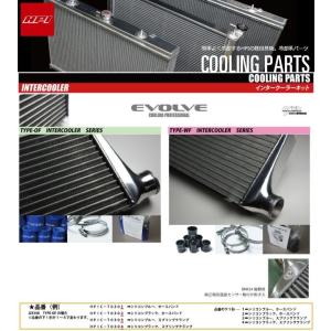 HPI フロント デュアルパイプC35ER34 RB 25DET用 楽天市場】スカイライン ER34 [RB25DET] デュアルフロントパイプ