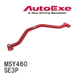 オートエクゼ 【AutoExe/オートエグゼ】 ラムエアインテークシステム