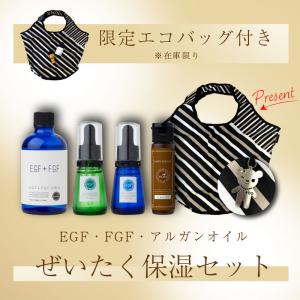 【送料無料＋限定エコバックプレゼント】濃厚EGF・FGF＋ピュアアルガンオイル100% お得な4品セット｜化粧水・美容液2種類・アルガンオイル｜vilabo