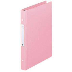 リヒトラブ カルテファイル メディカルサポートブ...の商品画像