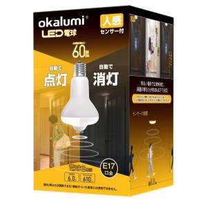 Panasonic（パナソニック） LDC5L-E17/C/D/W/2 LED電球 シャンデリア