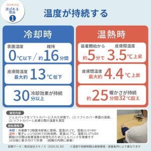 【雑誌anan掲載】アイシング アイスバッグ ...の詳細画像4