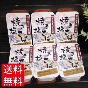 千葉産直 焼き塩さば缶詰 100g×6個 ネコポス発送で送料無料  代引き・同梱不可