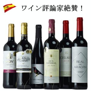 スペイン 赤 6本 ワイン セット 送料無料 ワインセット 魅惑のティントV9