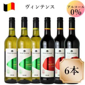 ギフト ノンアルコール ワイン ミニボトル 6本 アソートセット B 赤 白
