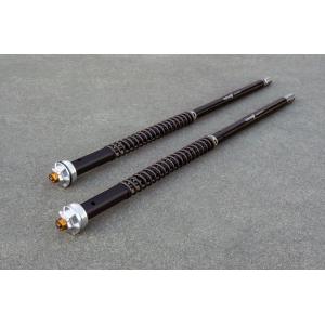 OHLINS アンドレアーニ社製 純正フォークインナーカートリッジ