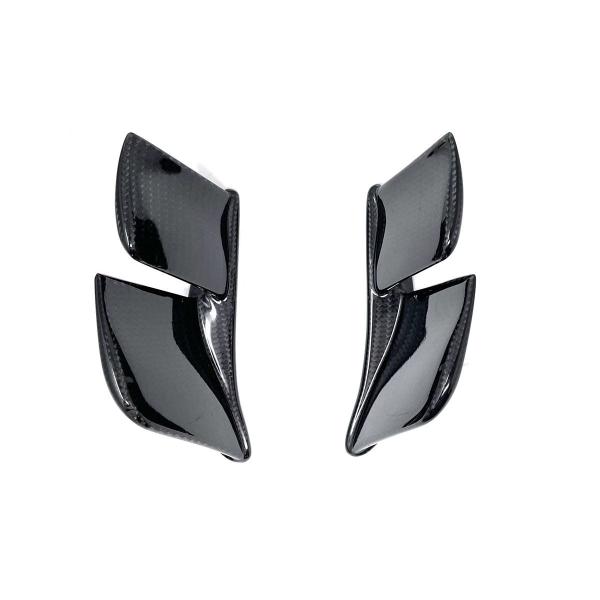 ドカティ パニガーレV4 V4R V4S 2018-2024 ドライカーボン製 テールカウル用ウイン...