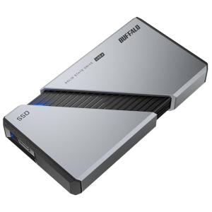 バッファロー ポータブル SSD 外付け 1TB USB4 Gen3x2 対応 Type-C 高速 最大読込速度 3,800MB/s exF｜violette-shop