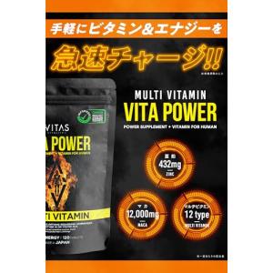 VITAS(バイタス) VITA POWER ...の詳細画像1