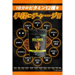 VITAS(バイタス) VITA POWER ...の詳細画像2