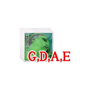 コントラバス用セット弦 Evah Pirazzi : バイオリンパレットYahoo!店