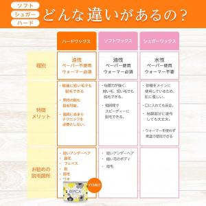 脱毛 ブラジリアンワックス VIO デリケート...の詳細画像4