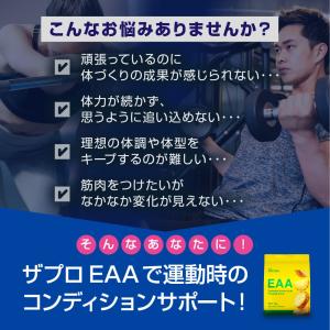 EAA 1kg 必須アミノ酸 BCAA パウダ...の詳細画像2