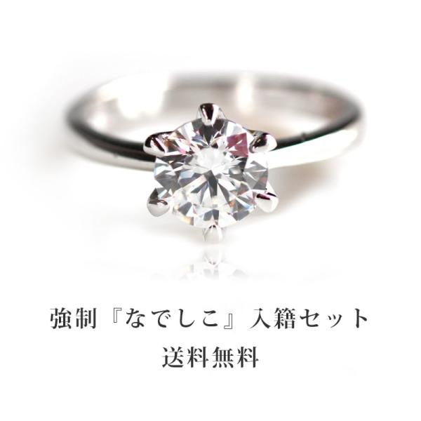 強制『なでしこ』入籍セット　【9248（急に幸せ）円】【プロポーズ】【リング・指輪】【エンゲージリン...