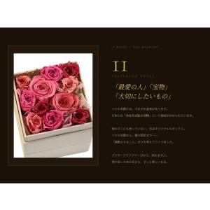 【記念日・サプライズ ギフト】11本のバラ ジ...の詳細画像2